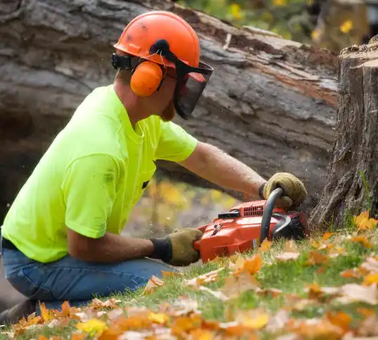 tree services Fredonia